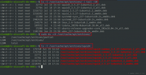 Clear the APT cache command