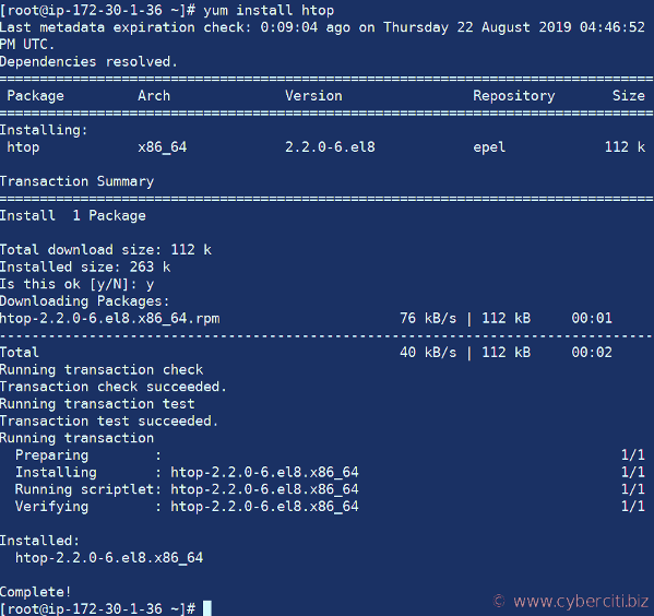 Install htop on RHEL 8 using yum command