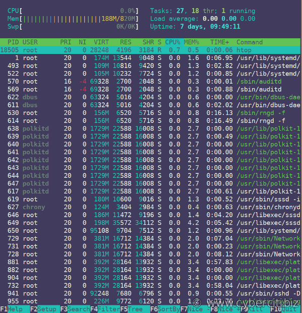Running htop on RHEL 8 Linux server